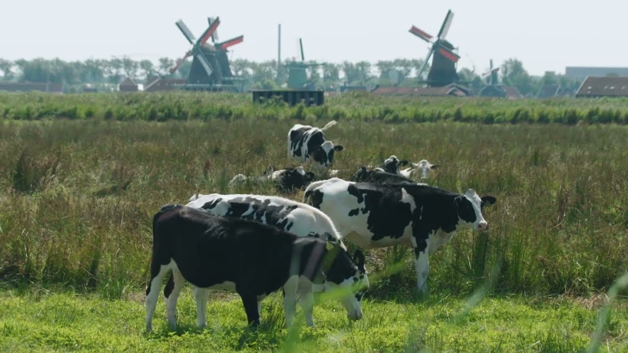 Take a visual tour through the Amsterdam Area - Video thumbnail