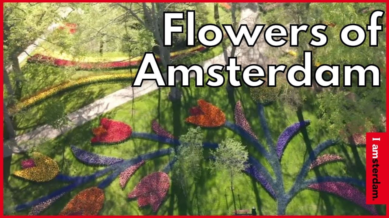Discover Flowers of Amsterdam - Video thumbnail