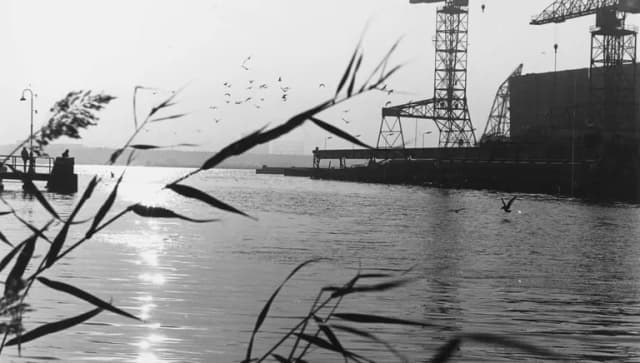 NDSM shipyard with cranes archive photo