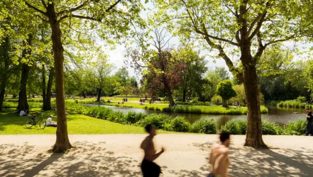Joggers running through Vondelpark.