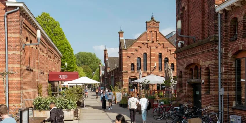 People on sunny Westergas