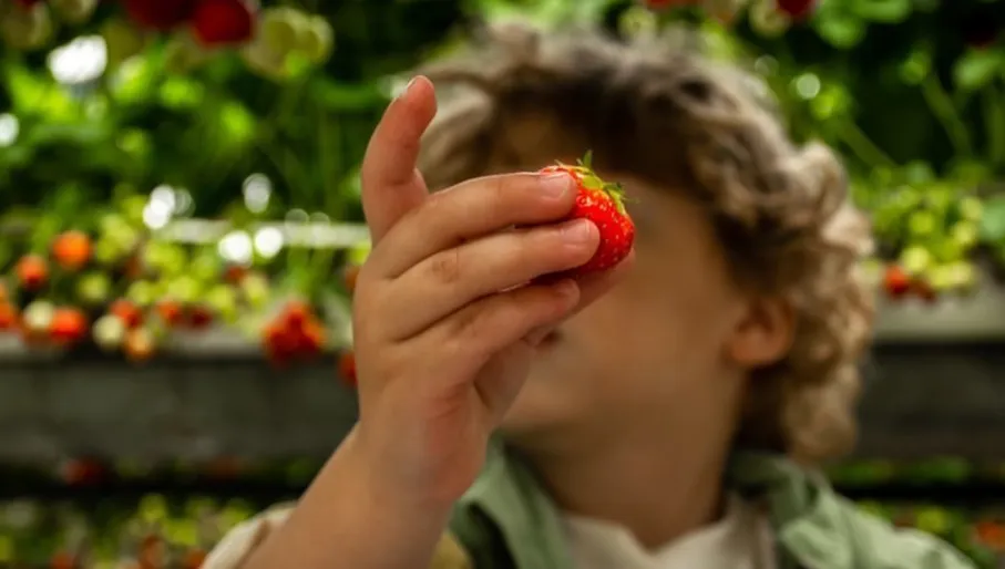 By Broersen pluktuin