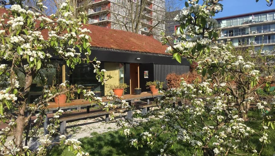 Stadsboerderij Osdorp garden with blossom flowers