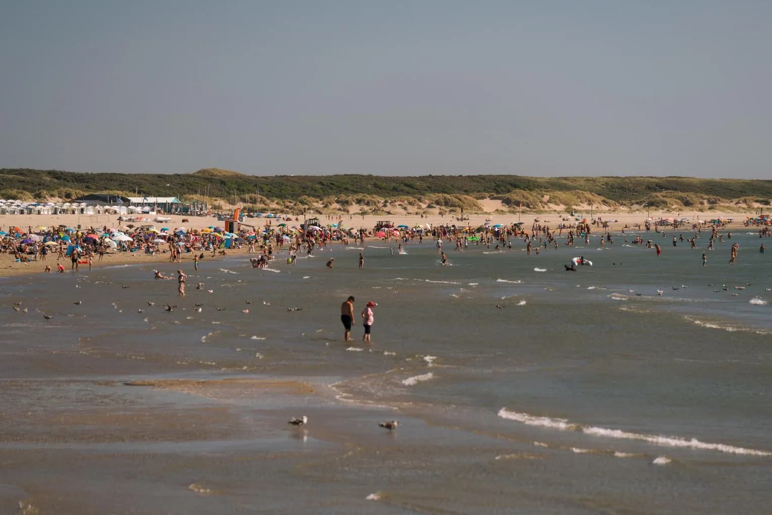 Zuidpier beach