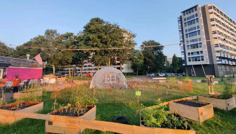 Elixer restaurant vegetable garden