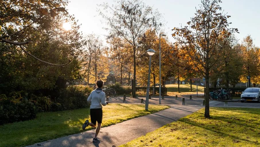 A jogger runs through a sunny Wachterliedplantsoen.