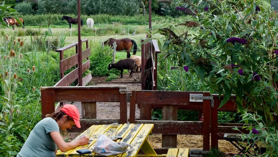 Person and animals in Buurtboerderij