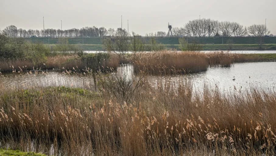 Volkstuinpark De Bretten