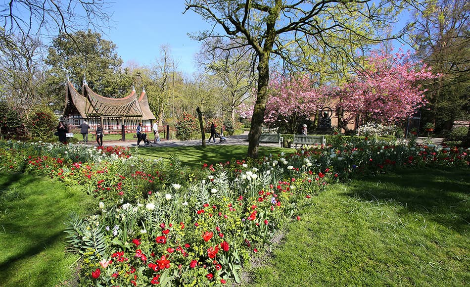 Eetbare tuin