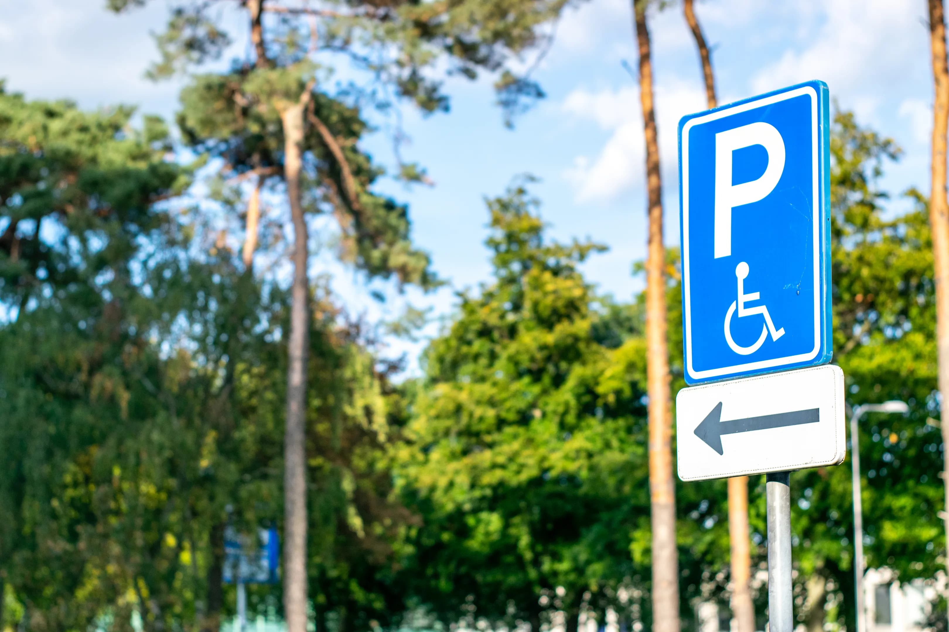 Dutch road sign: disabled parking space