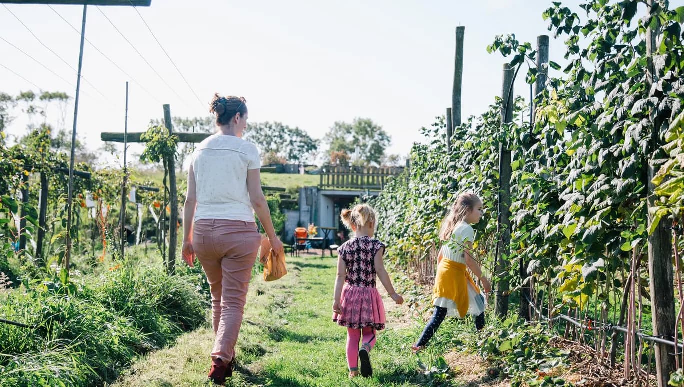 Family and kids picking fruit at Fruittuin van West
