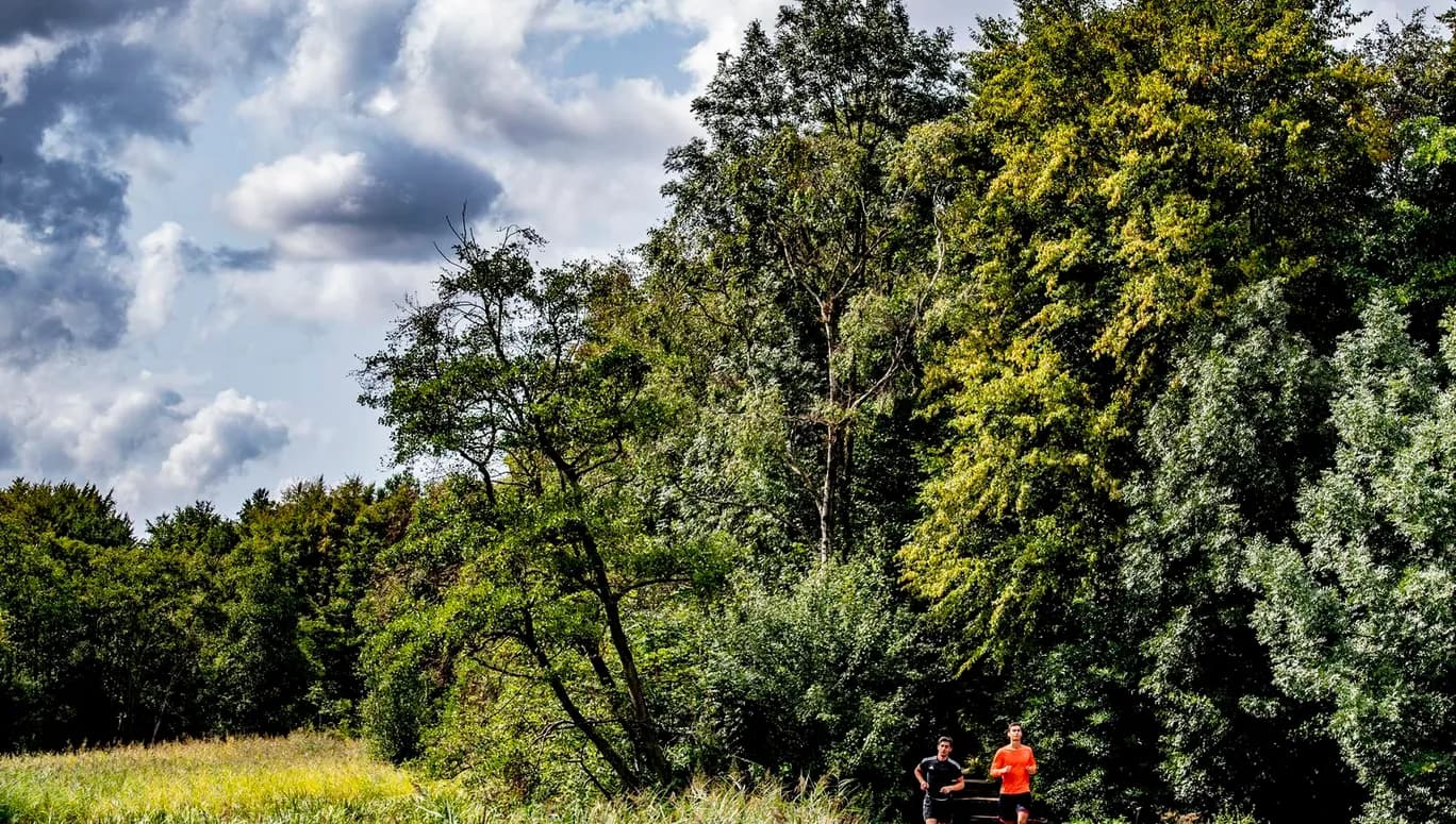 Two men running along path through forest in Amstelveen
