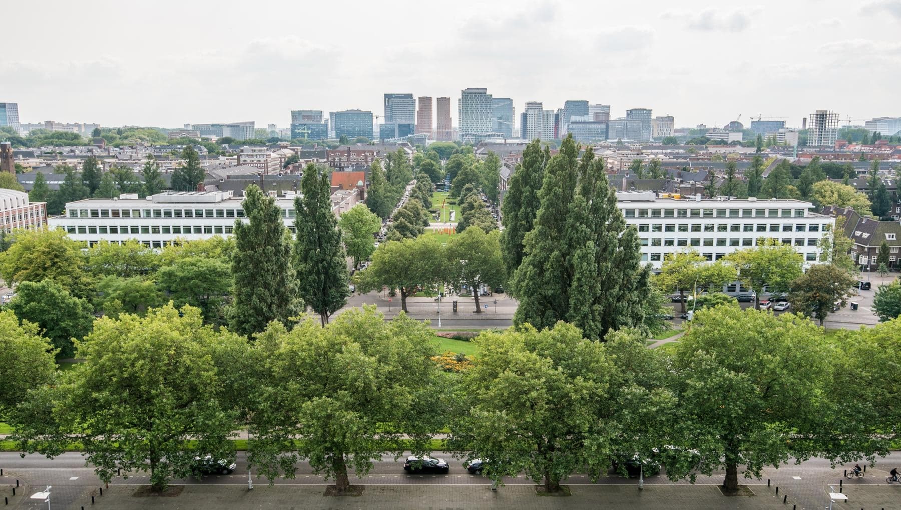 View from the Hilton Hotel
