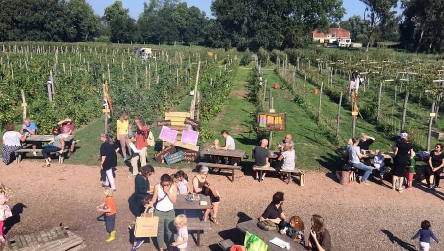 Tuinen van West is a combination of old and new landscapes, of romance and fringes, of (urban) agriculture and healthy products