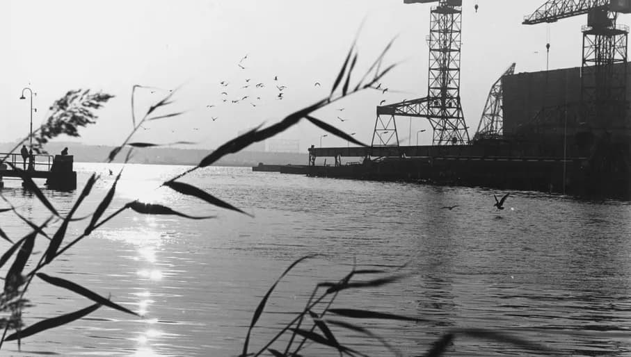 NDSM shipyard with cranes archive photo