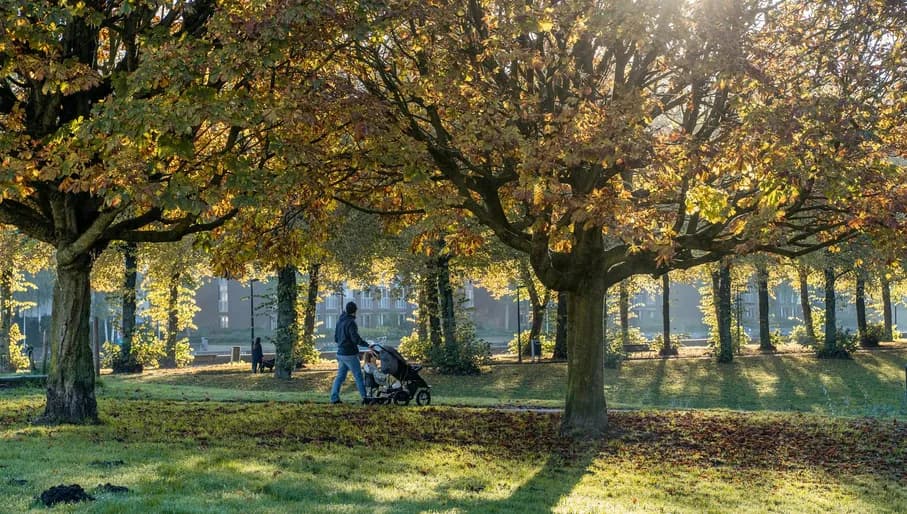 Erasmus park man strolling with child Sunny autumn day