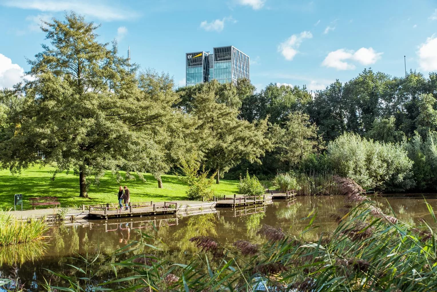 Beatrixpark lake with buildings in the background