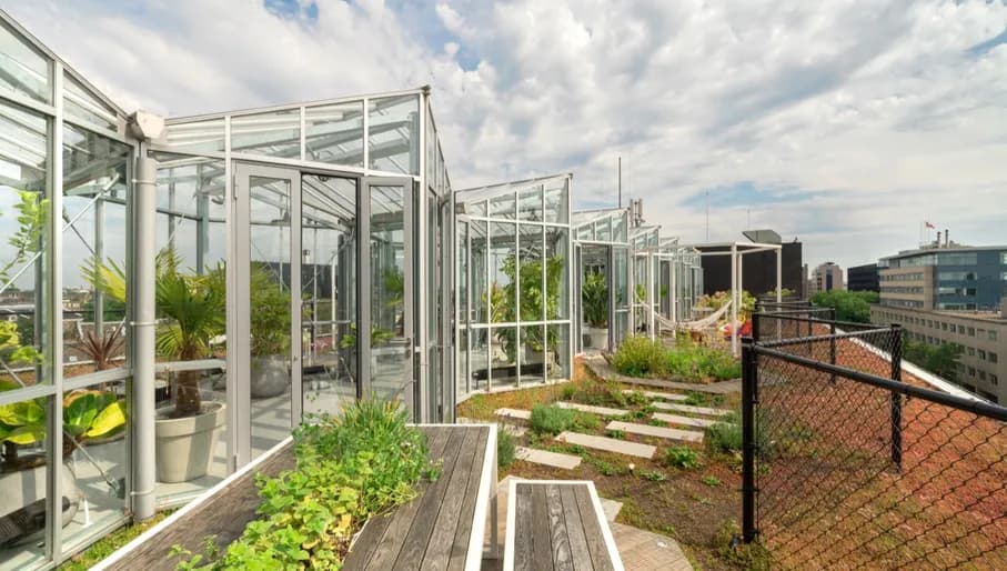 Zoku rooftop greenhouse terrace