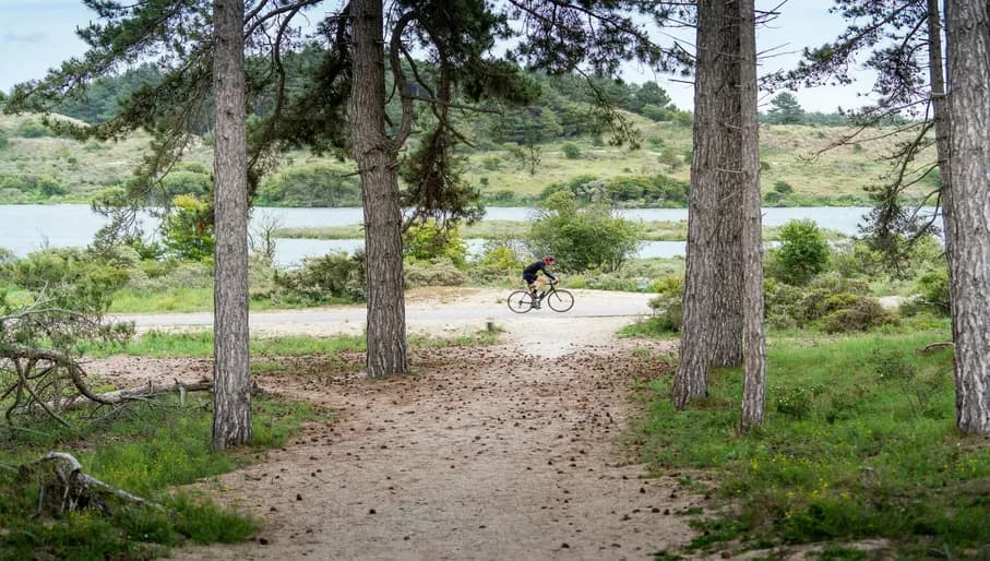 Cycling at Nationaal Park Zuid-Kennemerland
