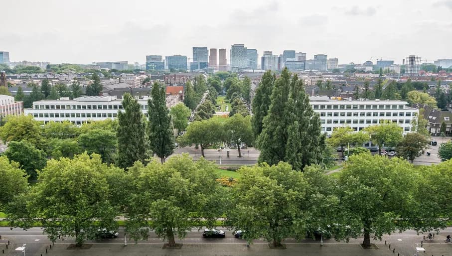 View from the Hilton Hotel