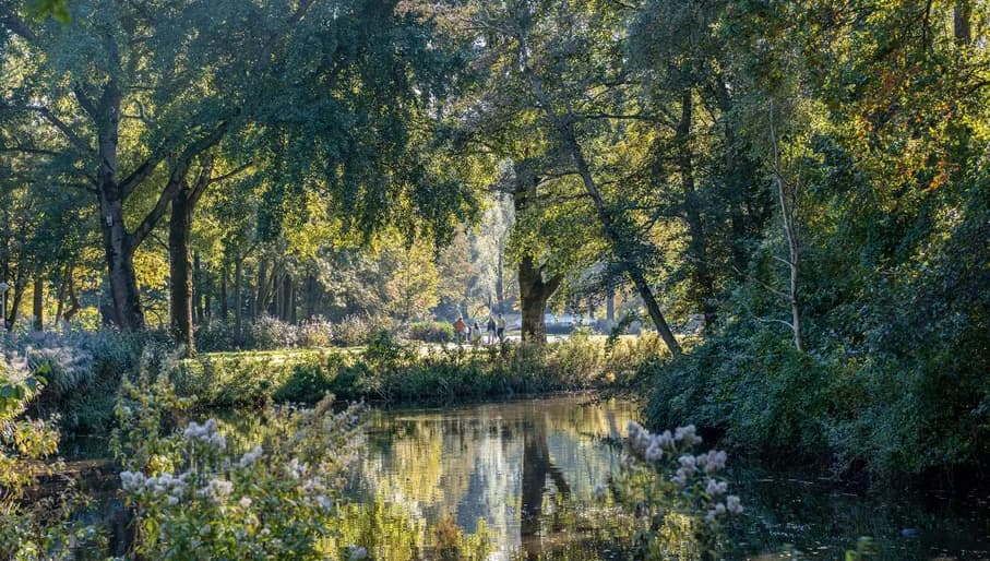 A beautiful view over the water in the Rembrandtpark
