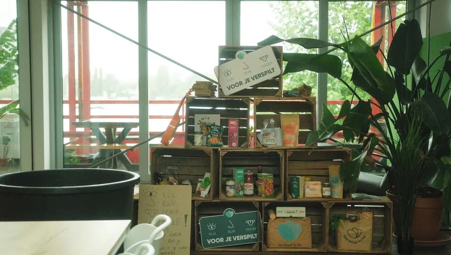 Too Good To Go interview with Geertje Zeggers